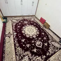 قالی 12متری