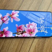 هواوی p 50 pro|موبایل|تهران, خلیج فارس|دیوار