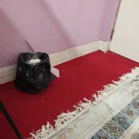 نیازمند یک خانم برای نظافت خانه