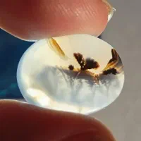 سنگ شجر|جواهرات|خمینیشهر, |دیوار