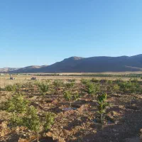 باغ|فروش دفتر صنعتی، کشاورزی، تجاری|بروجن, |دیوار