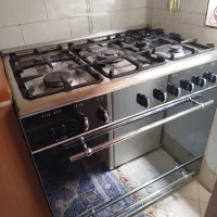 فرگار آلتون اصل بینقص