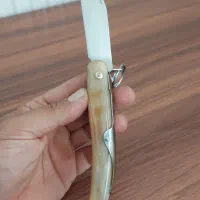 چاقو کلکسیونی