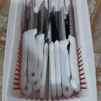 چاقو میوه خوری