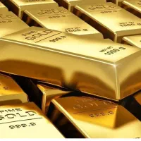 قطعه طلا پیدا شده