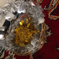 گل عروس و سبد عروس|گل مصنوعی|دوگنبدان, |دیوار