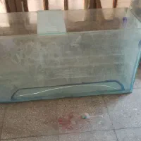اکواریوم وشن