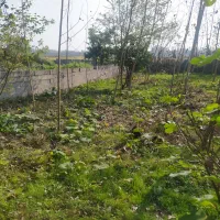 زمین مسکونی با نامه بنیاد مسکن۲۵۰متری|فروش زمین و ملک کلنگی|لولمان, |دیوار