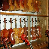 ویولن آموزشی یاماها والنسیا چوب آبنوس تمامی سایزها