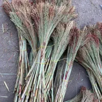 جارو شیرازی