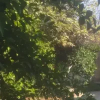فروش-یا-تهاتر-ویلایی-305متر-اصلاح-نژاد