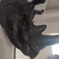 سردیس کرگدن جنس فایبرکلاس|مجسمه، تندیس، ماکت|کرج, گوهردشت|دیوار