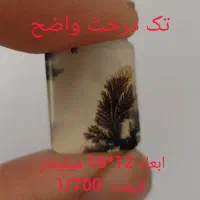 شجرستان حمید|جواهرات|زنجان, |دیوار