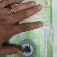 حج عمره سال ۹۵