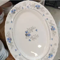 کاسه ماست خوری و دیس آرکوپال مارک پارس اوپال