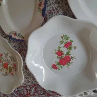 تعدادی ظرف ملامین مرغ خوری ودوعددمیوه خوری