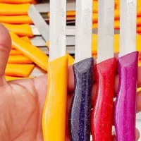 چاقو سر اشپز|ظروف سرو و پذیرایی|بندر گناوه, |دیوار