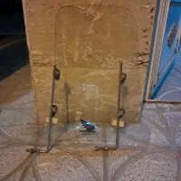 طلق موتور