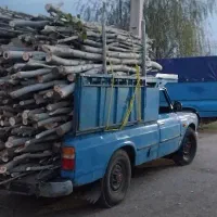 خرید چوب انواع درخت خشک تر بصورت کیلو و سرپای