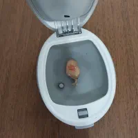 سمعک هوشمند