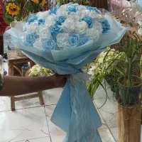 گل طبیعی|گل و گیاه طبیعی|بیرجند, |دیوار