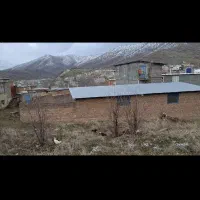 دامداری ۱۰۰ راسی روستایی