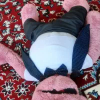 عروسک نو جناب خان