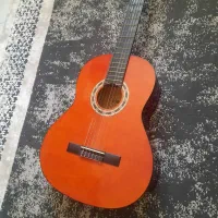 گیتار نو سالم