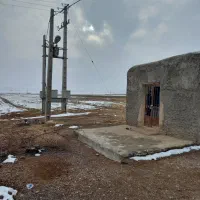 زمین کشاورزی باغی