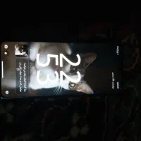 ردمی A3|موبایل|خفر, |دیوار