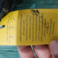 کفش ایمنی ضد برق|کیف، کفش، کمربند|برازجان, |دیوار