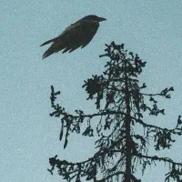 ۰۹۱۲