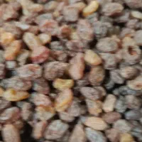 کشمش پلویی آفتاب خشک ومویز|خوردنی و آشامیدنی|کهریزک, |دیوار