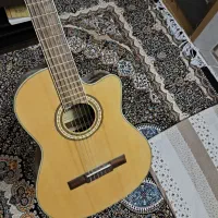 گیتار سانتانا سالم