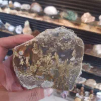 یک قطعه شجر پولیش خورده