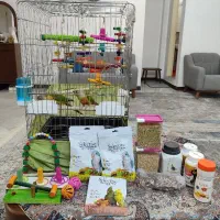 دوتا گرینچیک با کل لوازم و خوراک