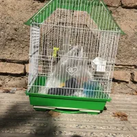 قفس و کیف پرنده|لوازم جانبی حیوانات|تهران, افسریه شمالی|دیوار