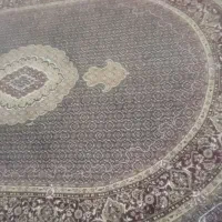 قالی|فرش|جوانرود, |دیوار