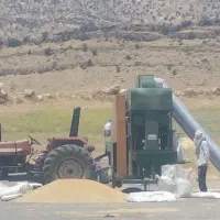 بوجار کوهدشت
