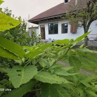 کدبادرنگ/ویلاباغ خانه بهشت۱۳۵۰متر ماهیگیری معلمساز