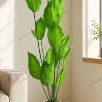 تعدادی درختچه  کنار سالنی لمسی