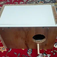 لانه عروس عروس هلندی