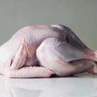 نیازمند سرمایه برای مرغ فروشی