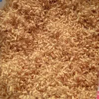 بلغور شیر تازه امسالی با شیر گاو از روستا|خوردنی و آشامیدنی|مشهد, انصار|دیوار