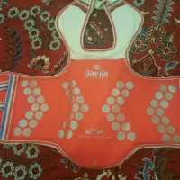 هوگو تکواندو
