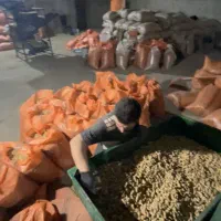 بادام زمینی|عمدهفروشی|اسلام آباد, |دیوار