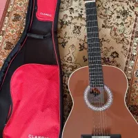 گیتار آنجل سیم حرفه ای