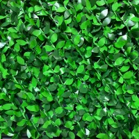 فروش ویژه فنس چمنی برگی (برگ پرتغالی)