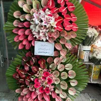 تاج گل باکس گل|گل و گیاه طبیعی|تهران, آهنگ|دیوار