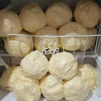 کره و روغن بز و گاو اصل و تضمینی